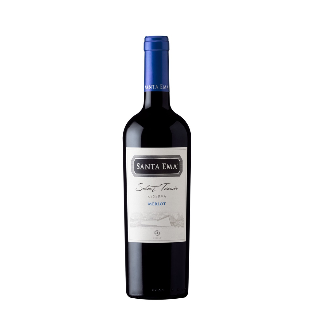 MERLOT 2022 - Vina Santa Ema - Cachapoal Valley